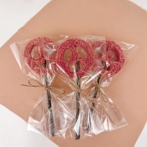 Strawberry loofah lollipop | Bunny Rabbit Treats | Chew toy for Guinea Pig Chinchilla Hamster | Healthy Rabbit snacks