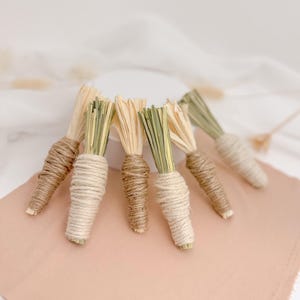 Carrot Chew toy | Timothy Hay | Corn leaves | Fun chew toy for Rabbit | Guinea pigs, Chinchillas Hamster and small Animals boredom breaker