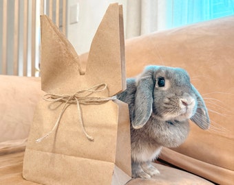 Craft Bunny Forage Mix: Edible Hay Bag