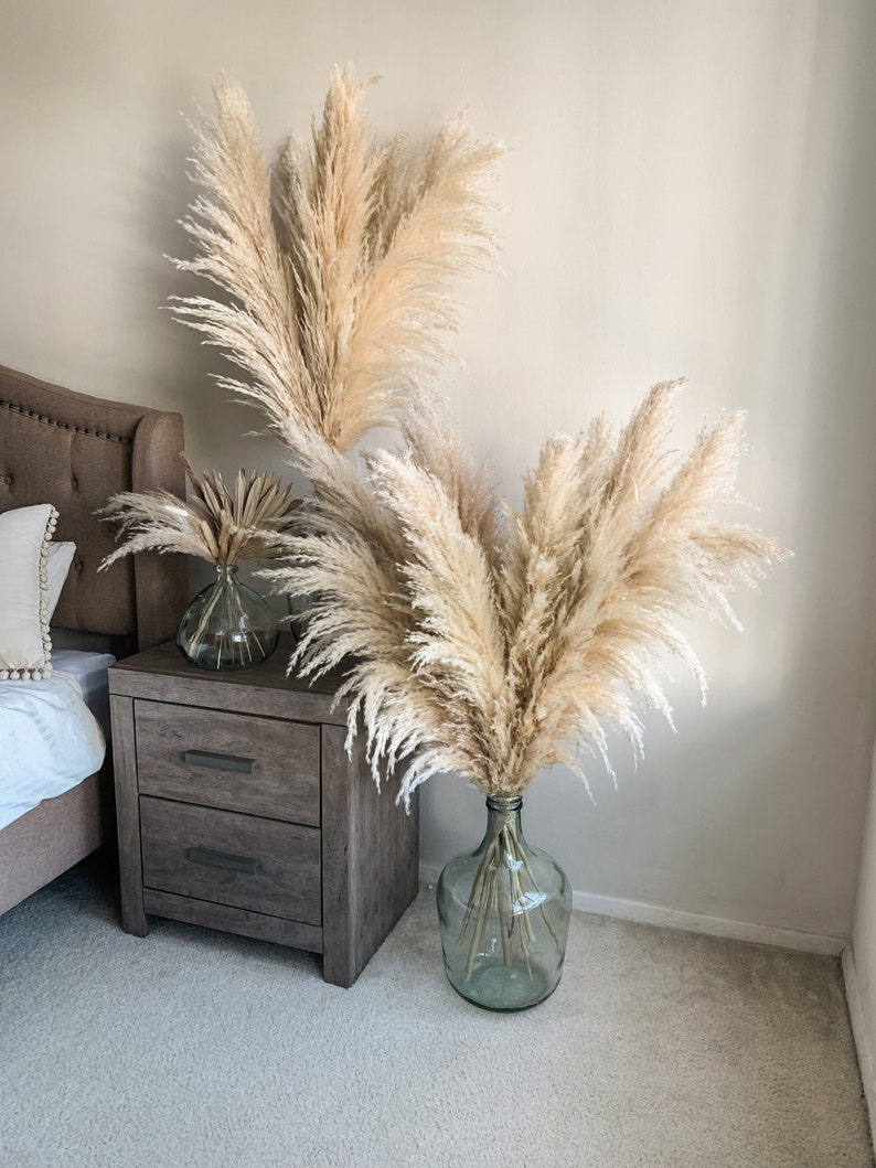 Pampas Grass Bulk 100 Stems XL Fluffy Pampas Grass Bulk Etsy