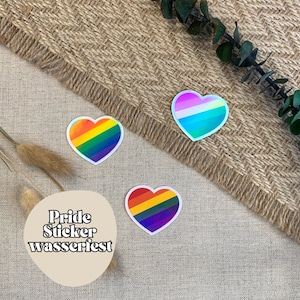 Gay Pride Flag Vinyl Sticker Wasserfest