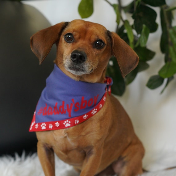 Dog Bandana Daddy s Boy Bandana for Small Dog in Blue and Red Pet Owner Gift Tie on Cotton Bandana for Pet Etsy