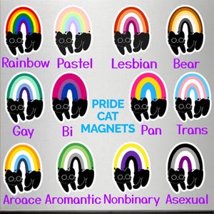 May include: A collection of Pride Cat magnets featuring a black cat silhouette beneath a rainbow. Each magnet represents a different identity, including Rainbow, Pastel, Lesbian, Bear, Gay, Bi, Pan, Trans, Aroace, Aromantic, Nonbinary, and Asexual.
