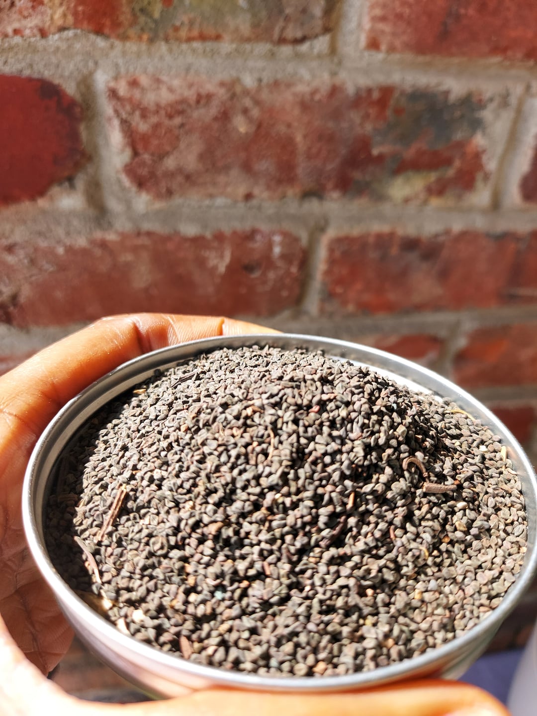 Ewedu Leaf Seeds 4g Nigeria Vegetable Seed/jute