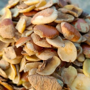 Freshly grounded Ogbono - 6oz No added preservatives/Africa/Dried Ogbono/Oven dried/ Ogbono soup/Organic/All Natural
