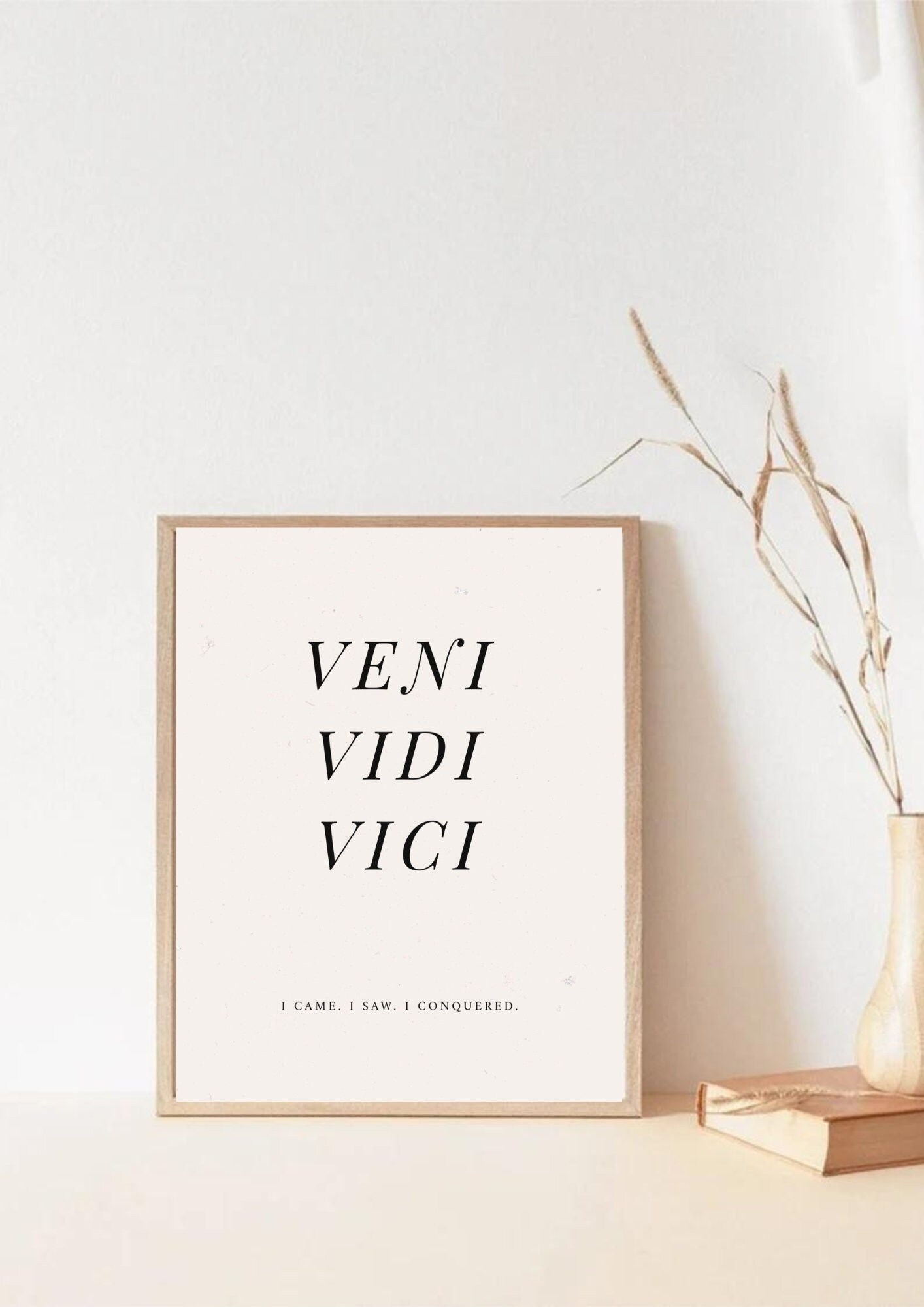 Veni Vidi Vici Quote -  Sweden