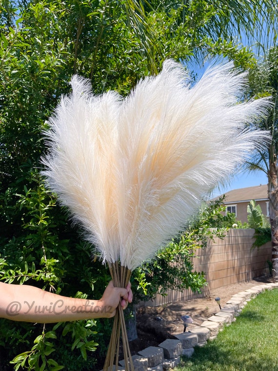 3 Stem Bundle Pampas Grass Set 4ft (48in) Artificial Pampas Grass Home  Decor Natural Beige - Etsy