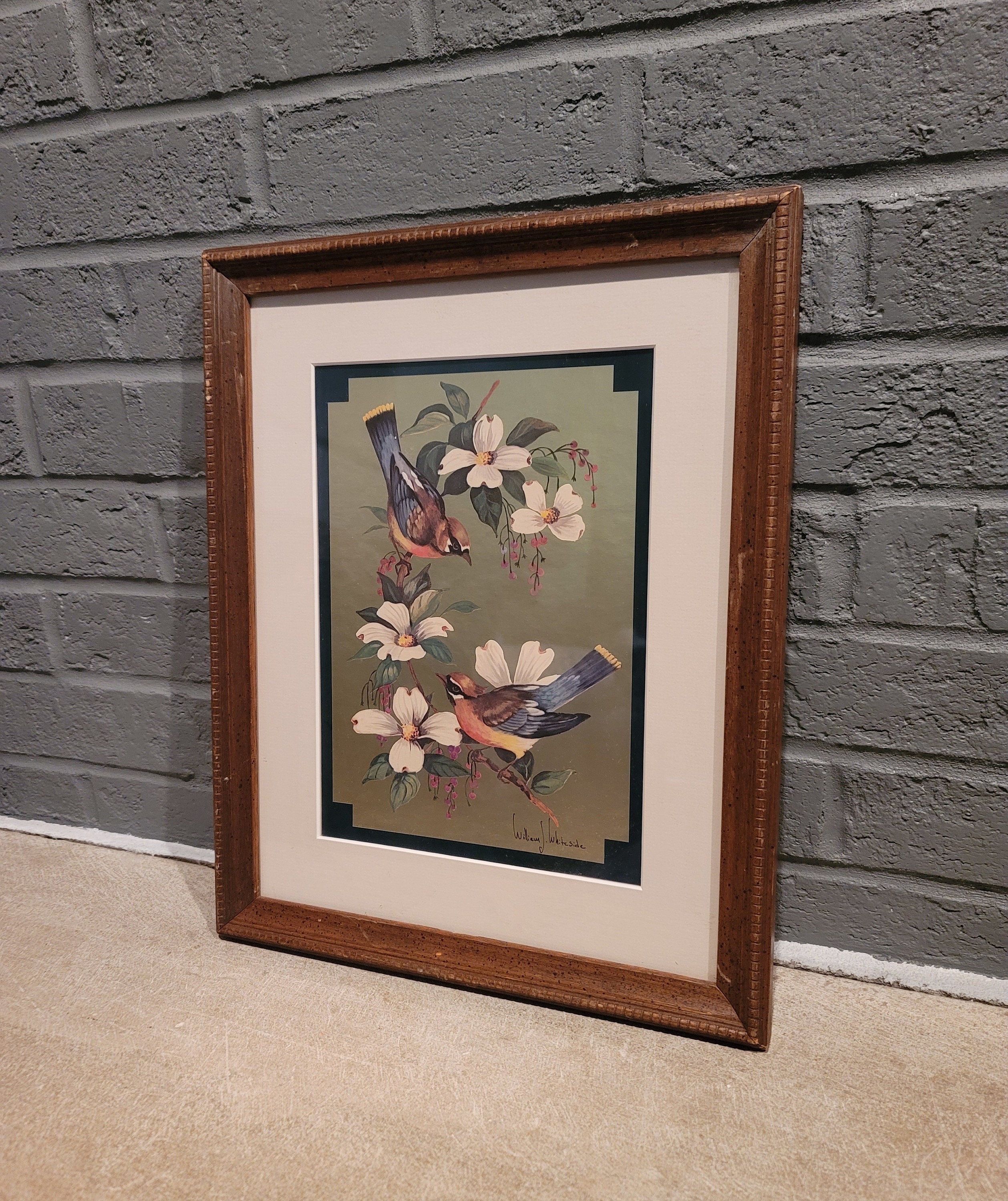 Vintage William J Whiteside Botanical Art Print, 1970s Mcm