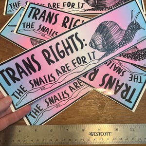 May include: A set of four stickers with a rainbow gradient background. Each sticker features a black and white illustration of a snail and the text "Trans Rights: The Snails Are For It".
