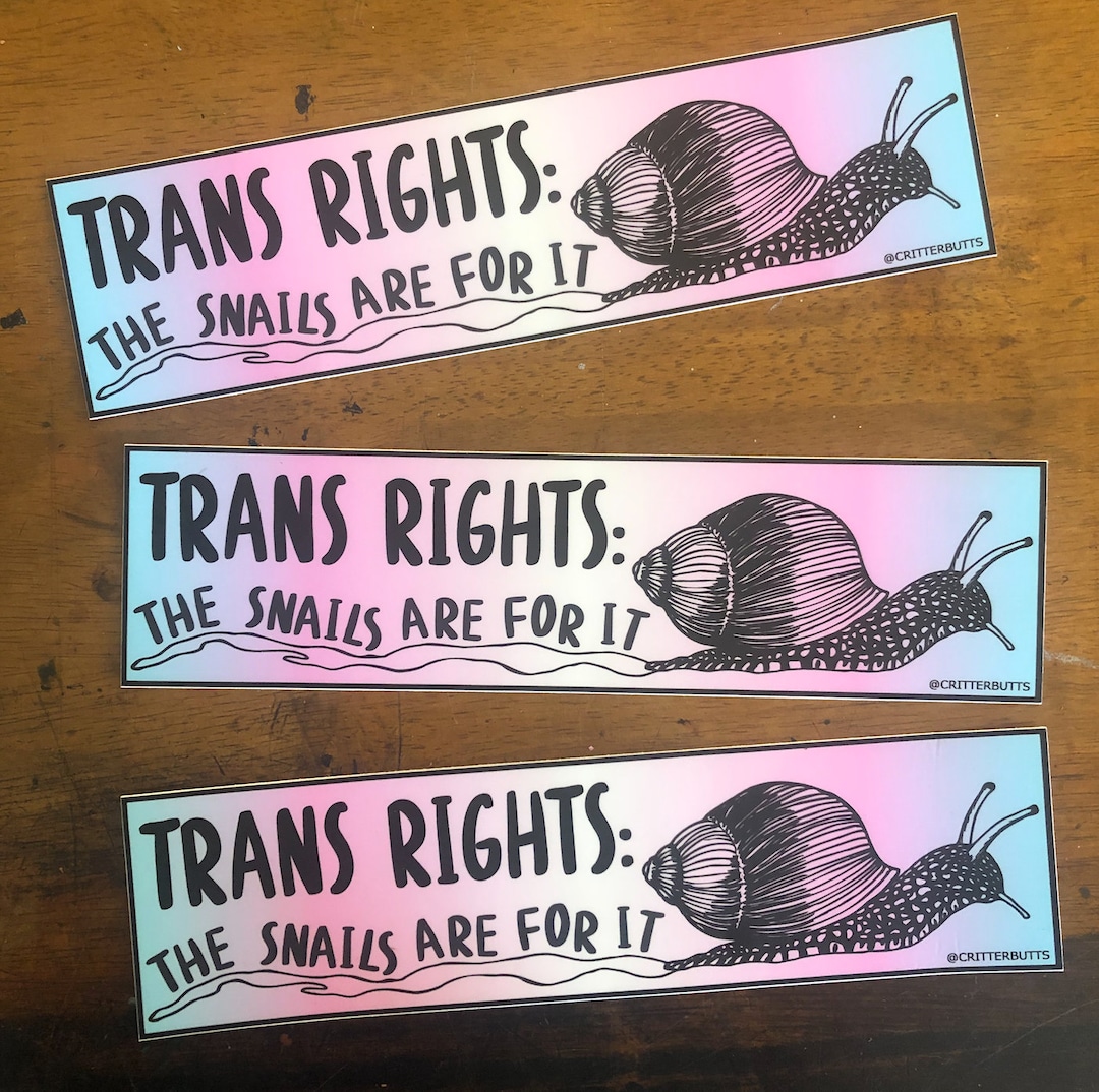 Trans Snail Bumper Sticker Weatherproof and Waterproof Etsy