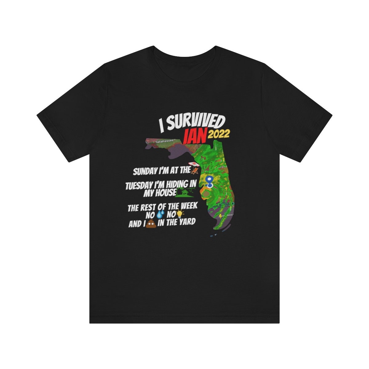 Discover I Survived Hurricane Ian Tshirt