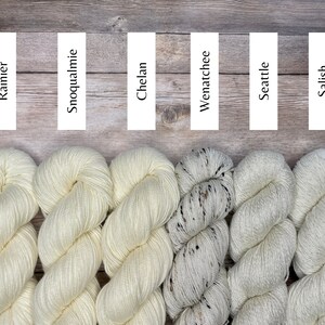 Dyed To Order: Seattle Skies | Self-Striping Sock Yarn | Light Gray, Navy, Dark Gray, Blue, Light Blue | Spring image 5