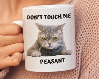 Paysan Ne me touchez pas, tasse drôle de chat, tasse de propriétaire de chat, chat grincheux, dame folle de chat, cadeau d'amant de chat, tasse de papa de chat.