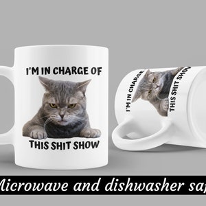 I'm In Charge Of This Shit Show, Sarcastic Cat Mug, Sassy And Funny Snarky Cat Lover Gift Mug For Her. image 8
