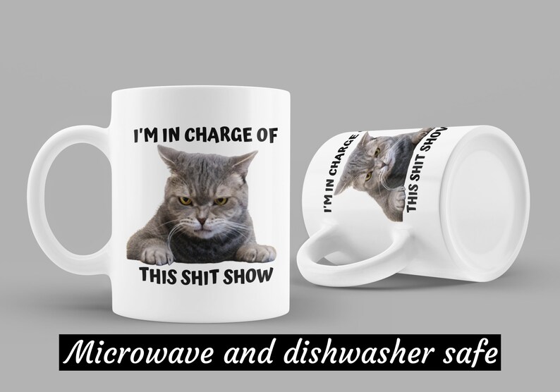I'm In Charge Of This Shit Show, Sarcastic Cat Mug, Sassy And Funny Snarky Cat Lover Gift Mug For Her. image 8