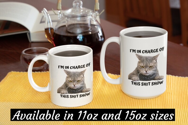 I'm In Charge Of This Shit Show, Sarcastic Cat Mug, Sassy And Funny Snarky Cat Lover Gift Mug For Her. 15oz