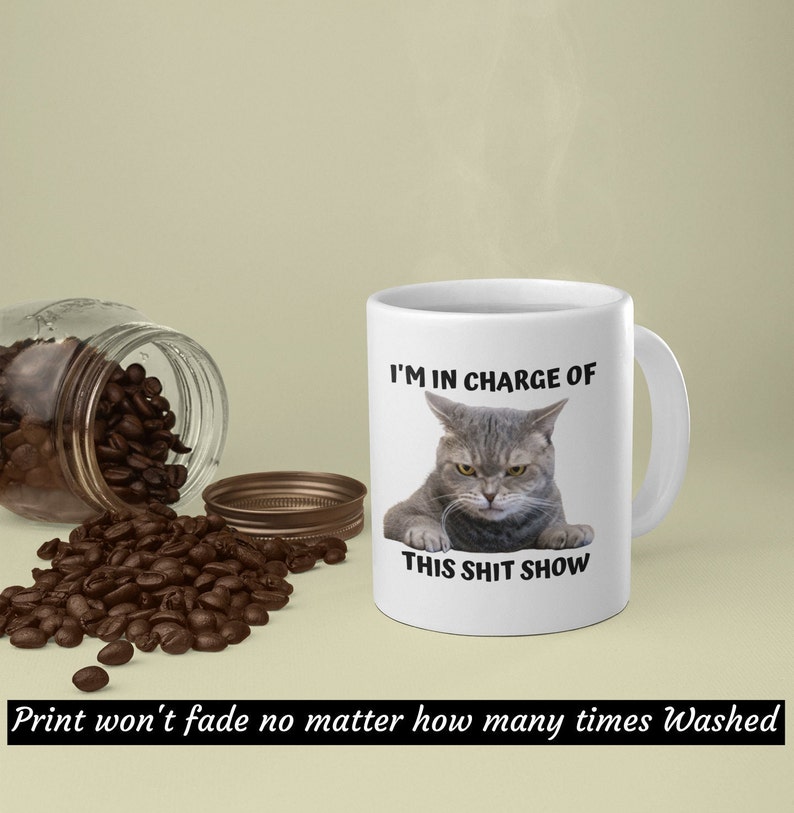 I'm In Charge Of This Shit Show, Sarcastic Cat Mug, Sassy And Funny Snarky Cat Lover Gift Mug For Her. image 2