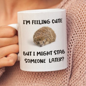Hedgehog Mug, Hedgehog Gifts, Animal Mug, Cute Pet Hedgehog, Hedgehog Birthday Cup, Hedgehogging Gits For Women