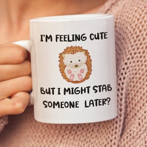 Hedgehog Mug, Hedgehog Gifts, Animal Mug, Cute Pet Hedgehog, Hedgehog Birthday Cup, Hedgehogging Gits For Women