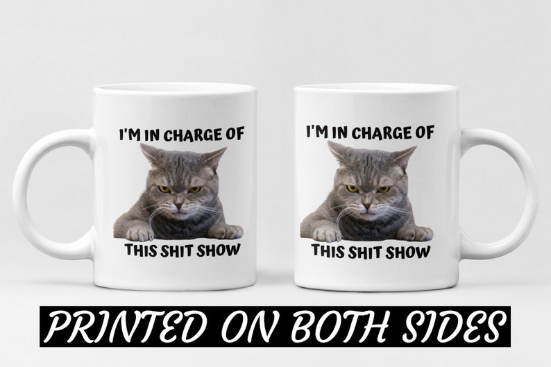 I'm In Charge Of This Shit Show, Sarcastic Cat Mug, Sassy And Funny Snarky Cat Lover Gift Mug For Her. image 6