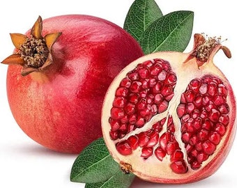 15 Rare Seedless Pomegranate Seeds for planting