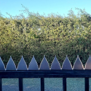 May include: A black metal fence with sharp, triangular spikes along the top. The fence is set against a backdrop of lush green foliage and a clear blue sky. The spikes are evenly spaced and create a visual barrier.