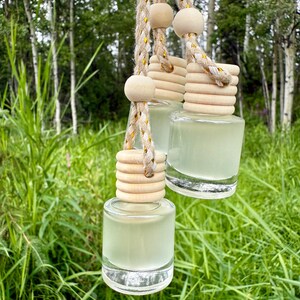 May include: Three small, clear glass bottles filled with a pale green liquid, suspended by decorative rope. Each bottle has a wooden cap and a wooden bead. The background features green grass and trees.