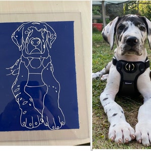 Może przedstawiać: Biały rysunek liniowy psa rasy Dog Niemiecki na niebieskim tle. Pies siedzi ze skrzyżowanymi łapami i przechyloną głową. Rysunek jest oprawiony w przezroczystą plastikową ramkę.