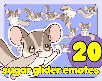 sugar glider emotes! Cute sugar gliderr twitch emotes, guinea pig emotes, cute hamster, mouse twitch emotes, squirrel emotes, discord emotes
