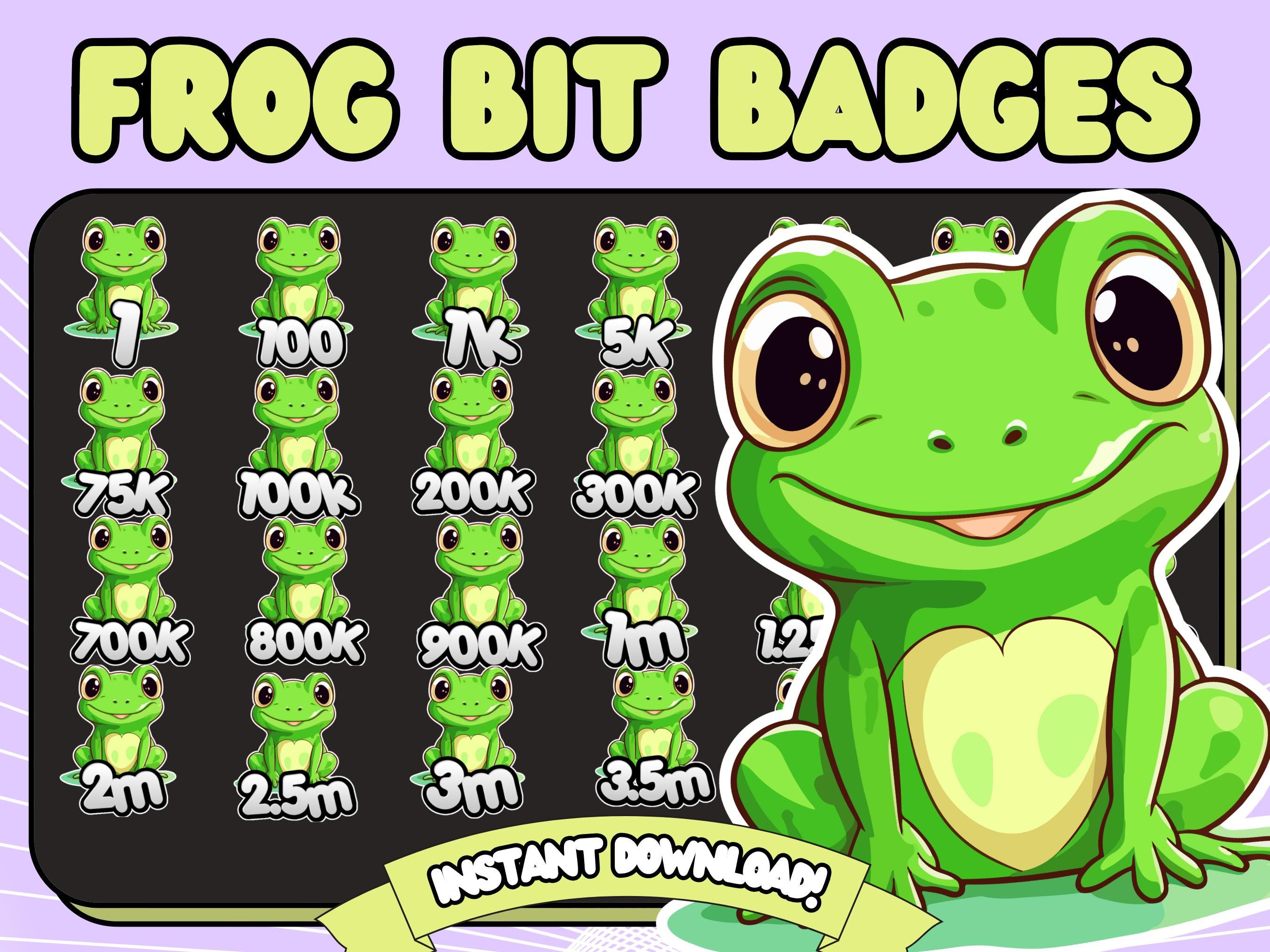 Una rana vino a nuestra puerta a cagar 💚 : r/frogs, image size:2700x2025