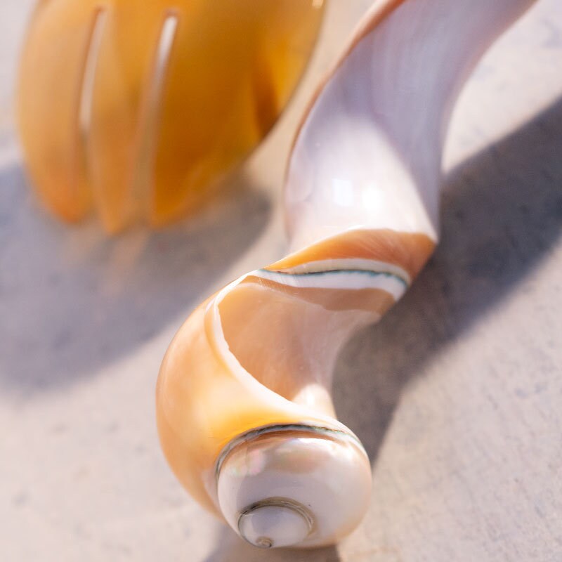 couverts À Salade Horn