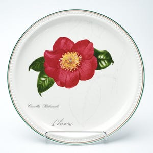 Villeroy & Boch Camellia Rubricanlis wall plate from 1996 - vintage botanical porcelain - decorative plate with red camellia flower