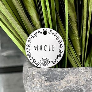 Puppy Love Dog ID Tag (+more tag shape/color options!) | Hearts Dog Tag, Golden Retriever Dog Tag, Lab Doodle Cute Dog Tag Wanderlust Tags
