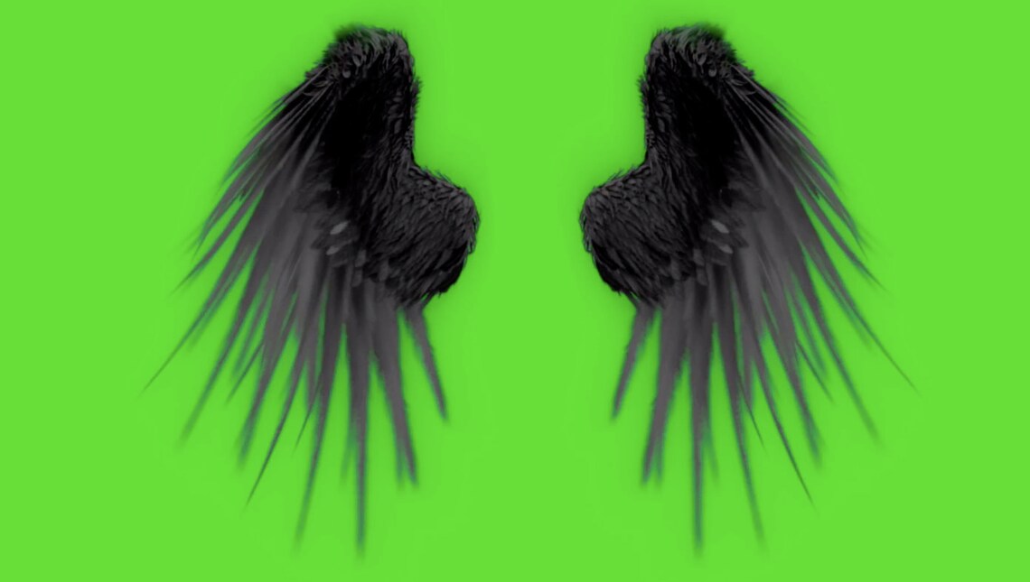 Animated Lucifer Wings Green Screen Footage Angel Wings Etsy