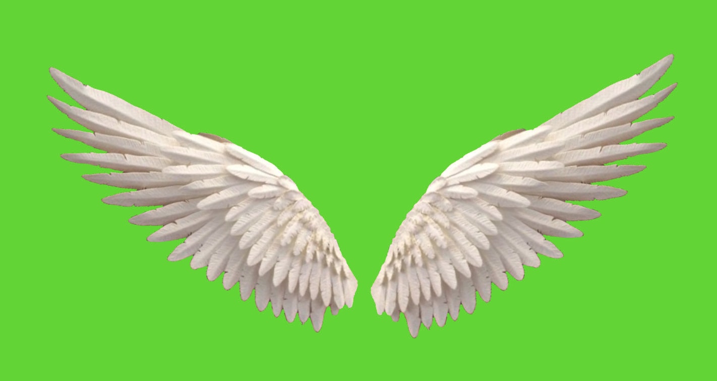 Animated flapping angel wings on green screen instant Etsy