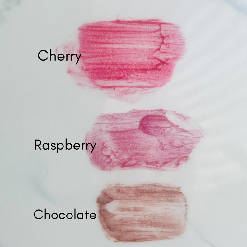 Lip Tint Balm Softly Tinted Healing Nourishment With Etsy