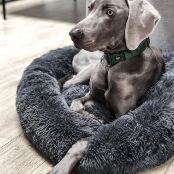 Comfy Calming Dog Bed Cozy Orthopedic Anti Anxiety Doggy Mat Etsy