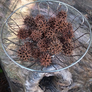 May include: A silver wire basket filled with dried brown spiky seed pods. The basket is sitting on a weathered wooden surface.