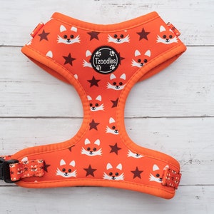 Orange fox Dog Harness