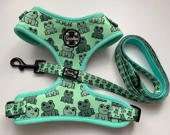 harness and lead set