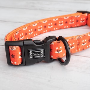 Orange fox Dog Collar