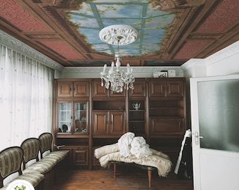Victorian Ceiling Wallpaper, Faux Wood Paneling & Sky Mural, Trompe l'oeil Trellis Art, Peel and Stick Architectural Decor 244