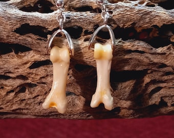 Coyote Bone Earrings, Ethically Sourced Desert Bone