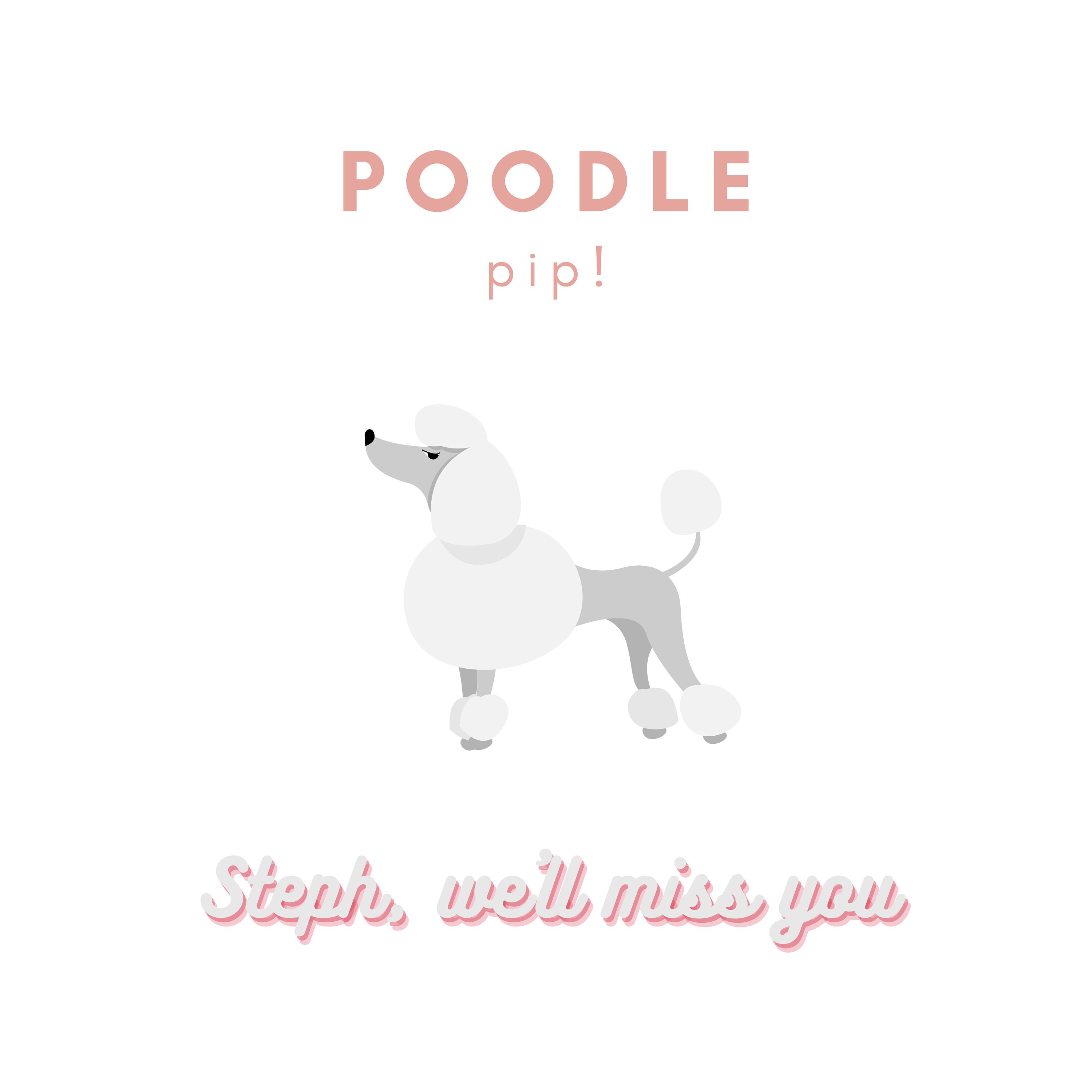 Pampered Paws Discover The Secret To A Gleaming Dog Without Leaving Home - j1a3y3q