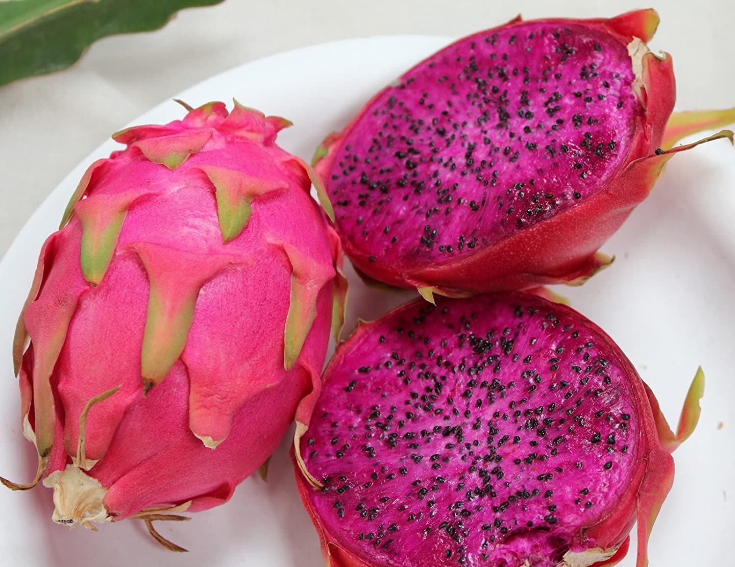 アリシアスタン 2024 Madeline Pitaya Dragon Fruit, Pitahaya, Pitaya, Cut to Order. Choose Your