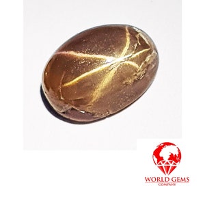 May include: A brown oval-shaped gemstone with gold-colored streaks and a star-like pattern.