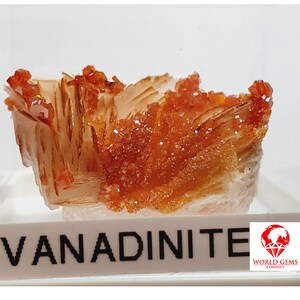 Cluster of Vanadinite from Morocco in its protective box, for the collection or to put in its showcase dim3.2 x 1.9 cm weight 23.21g