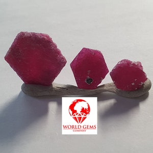 Könnte beinhalten: Drei rosafarbene Rubinkristalle in verschiedenen Größen auf einer weißen Oberfläche. Die Kristalle sind roh und haben ein natürliches, unpoliertes Aussehen. Die Kristalle sind in einer Reihe vom größten zum kleinsten angeordnet. Das Bild ist mit "WORLD GEMS COMPANY" beschriftet.