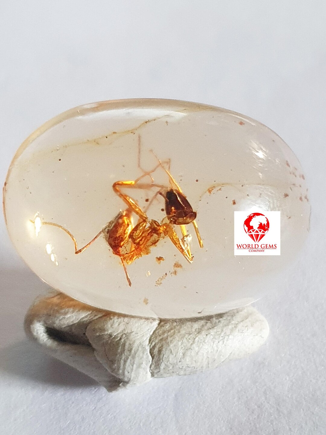 Ants Included in a Copal From Madagascar. for Collectors, Jewelers ...