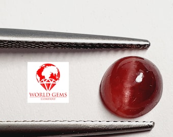 May include: A red cabochon gemstone with a chatoyant effect. The gemstone is held by a pair of tweezers. The image includes the text "WORLD GEMS COMPANY".